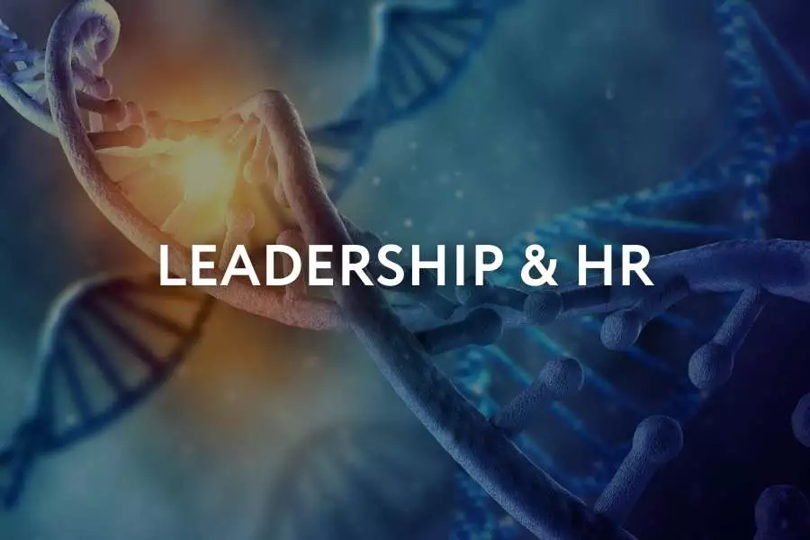Leadership & HR