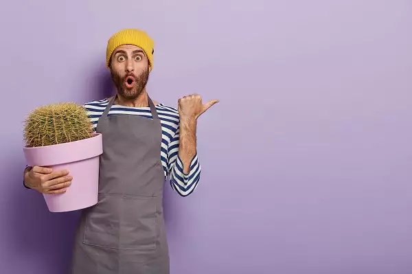 surprised-gardener-posing-with-big-potted-cactus 600x399