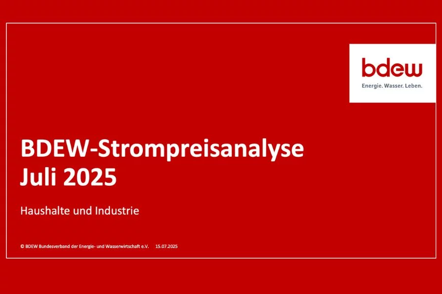 BDEW Strompreisreport