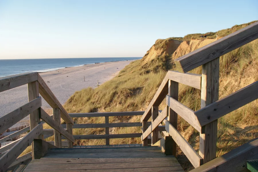 Cora Sylt - Cora To Go