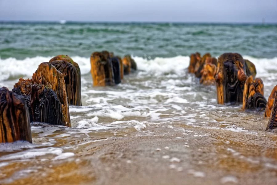 Cora Sylt Landschaft