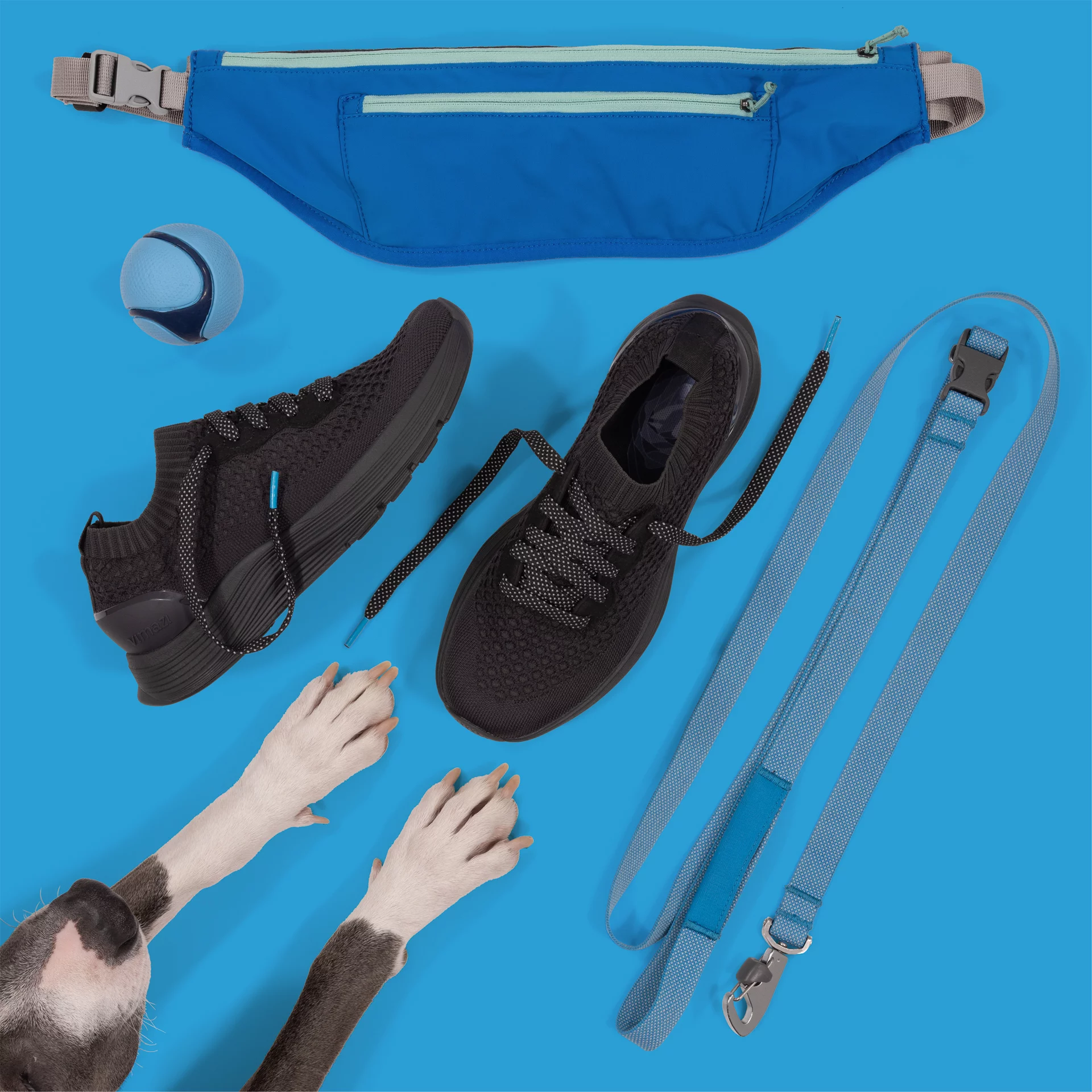 Vimazi-2023-Z90-TimeForAWalk-1x1