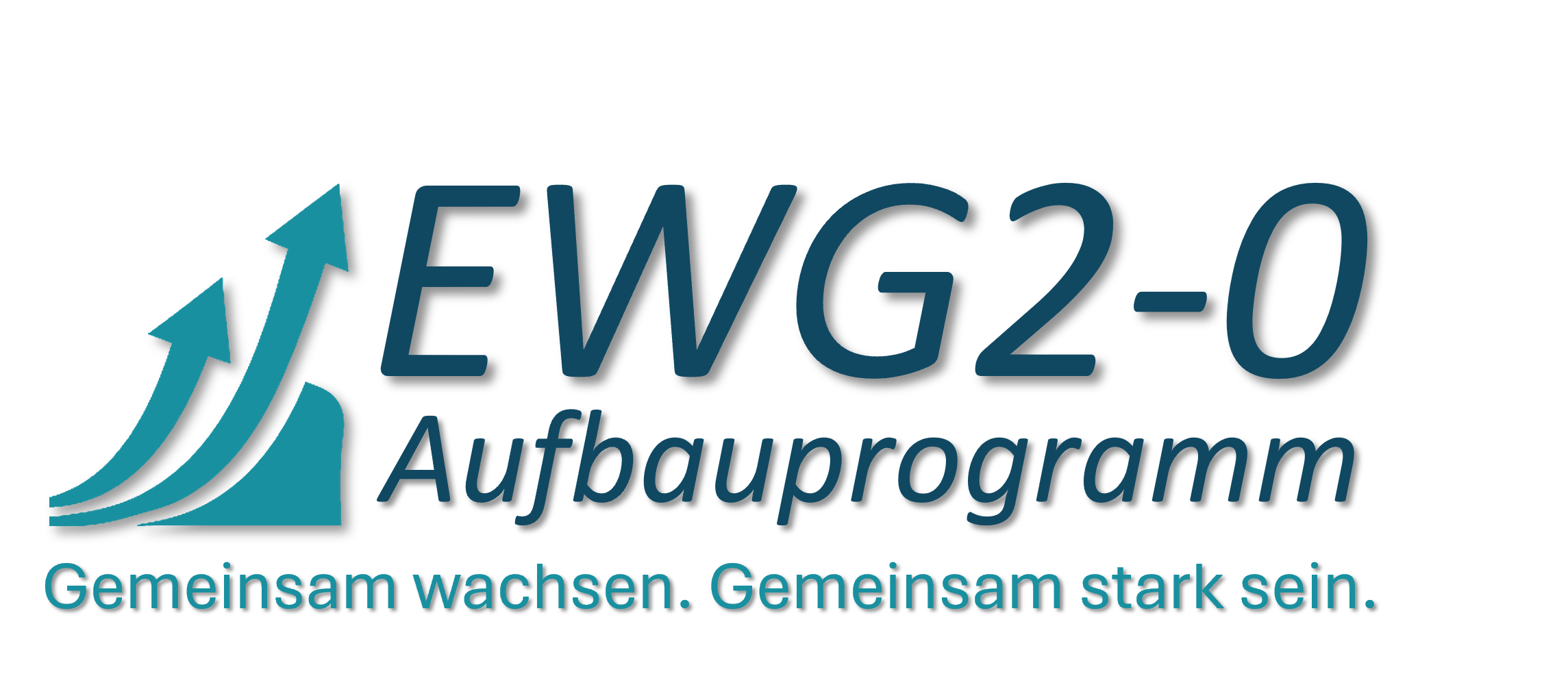 IK Internationale Kooperation EWIV