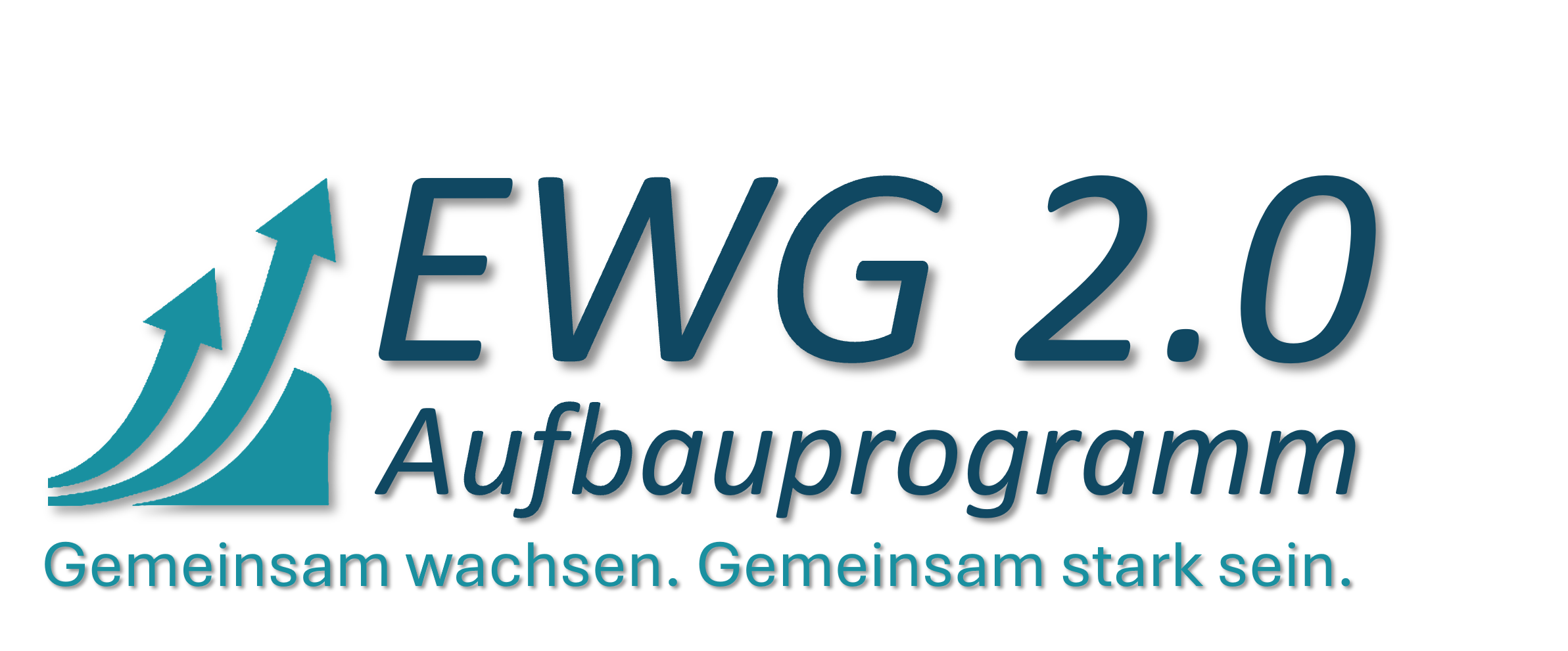 IK Internationale Kooperation EWIV