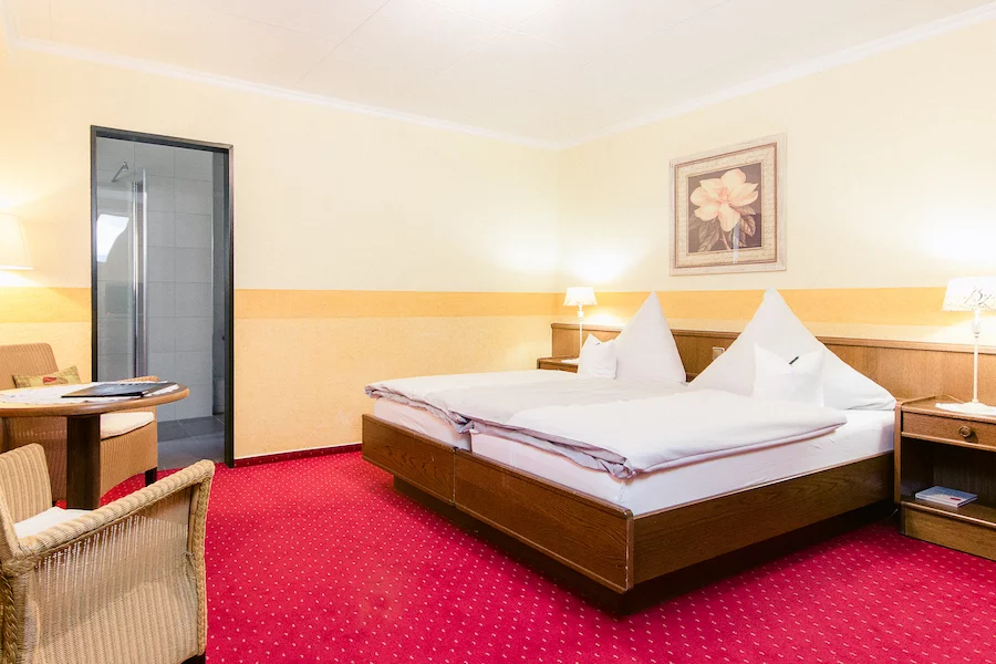 Doppelzimmer-Standard-17